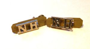 Northumberland Hussars Shoulder Titles