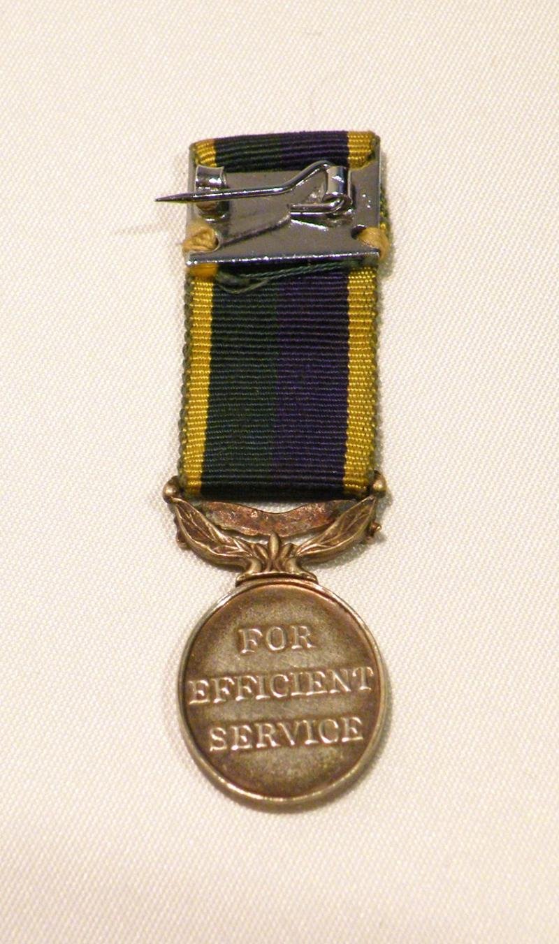 QEII Era Territorial and Army Volunteer Reserve Miniature Medal — image 3