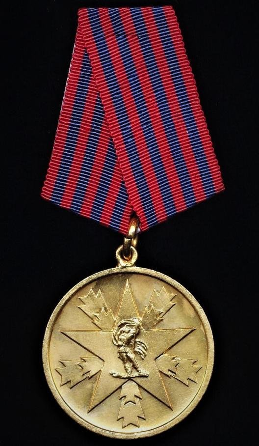 Yugoslavia (Democratic Federal Yugoslavia): Medal for Merit to the Nation (Instituted 1945). 1st Type. Bronze Gilt