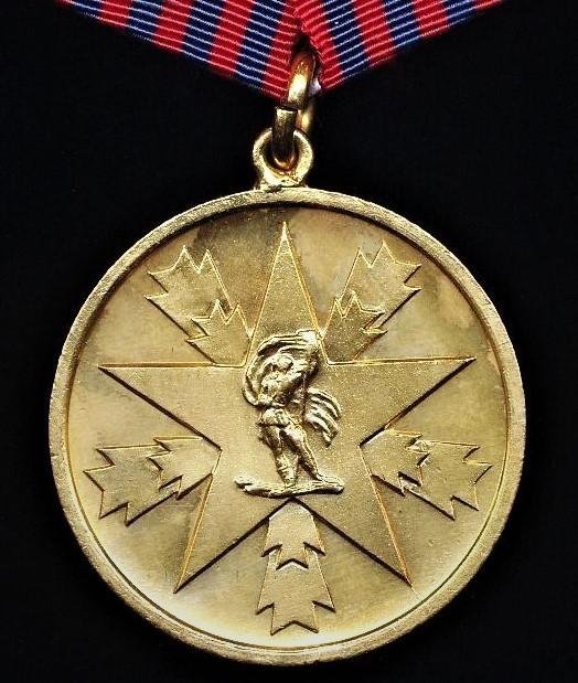 Yugoslavia (Democratic Federal Yugoslavia): Medal for Merit to the Nation (Instituted 1945). 1st Type. Bronze Gilt — image 2