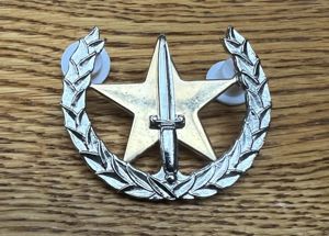 South African Air Force Police Cap Badge