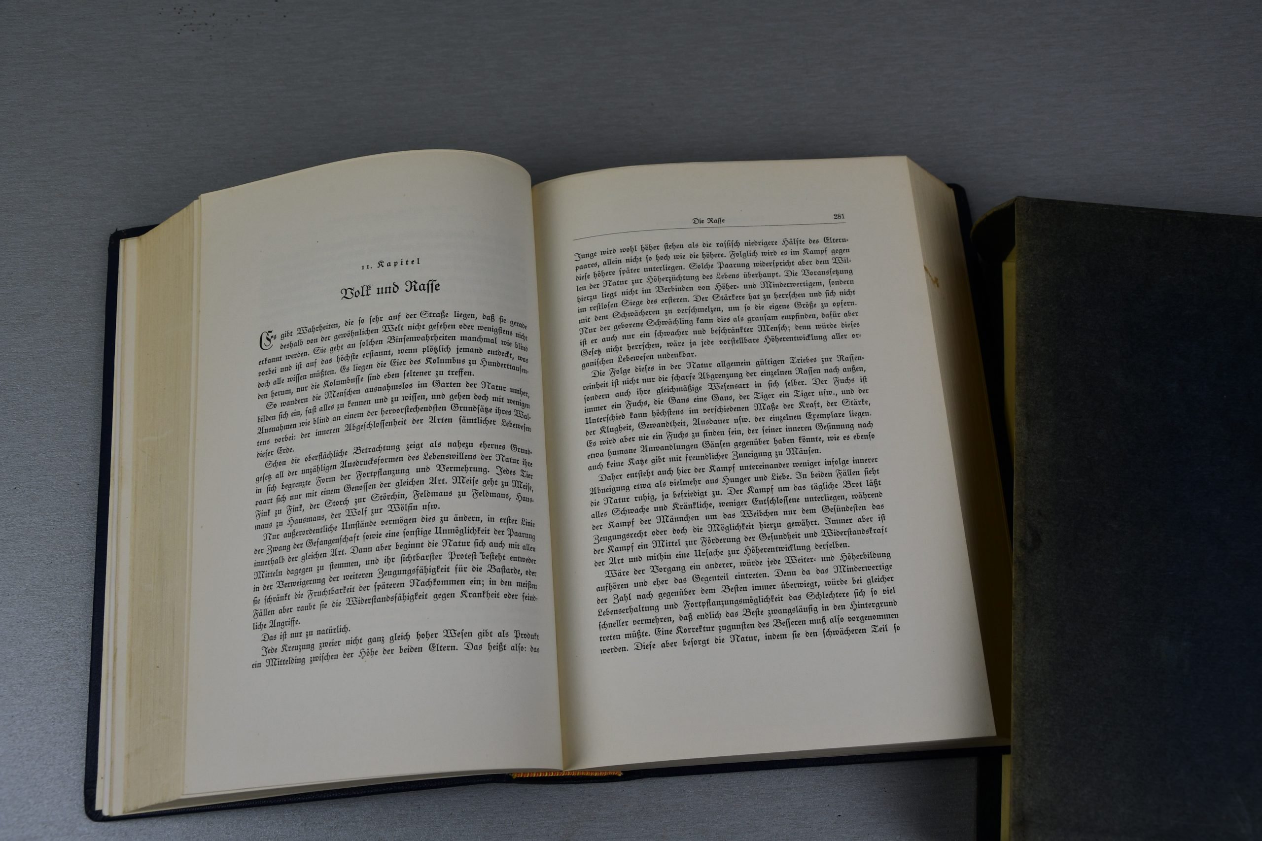 Mein Kampf jubilee edition for the 50th birthday of Adolf Hitler 1939 — image 8