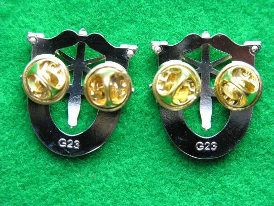 U.S. Army Special Forces Crests - Pair