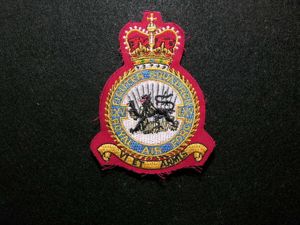 RAF LXV Squadron Patch