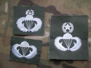 SOUTH KOREA parachute PARATROOPER PARA WINGS BADGE SET BASIC SENIOR MASTER