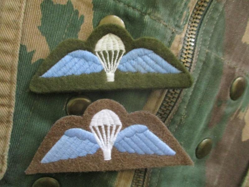 OLD TYPE 60s 70s 80s 90s BRITISH PARACHUTE REGIMENT AIRBORNE FORCES PARACHUTE WINGS colour