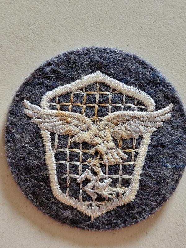 Luftwaffe Drivers Badge