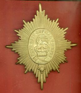 Royal Dragoons Victorian OR's Foreign Service helmet plate
