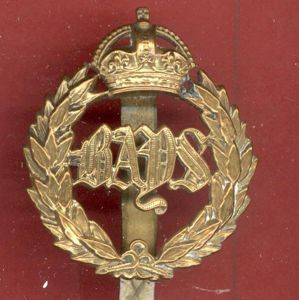 2nd Dragoon Guards ,The Queens Bays OR's cap badge