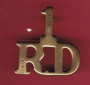 1 / R D 1st Royal Dragoons Victorian shoulder title