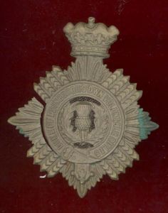 South African Duke of Edinburghs Own Volunteer Rifles Edwardian helmet plate