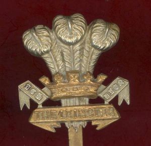 Irish The Leinster Regt. Royal Canadians WW1  cap badge