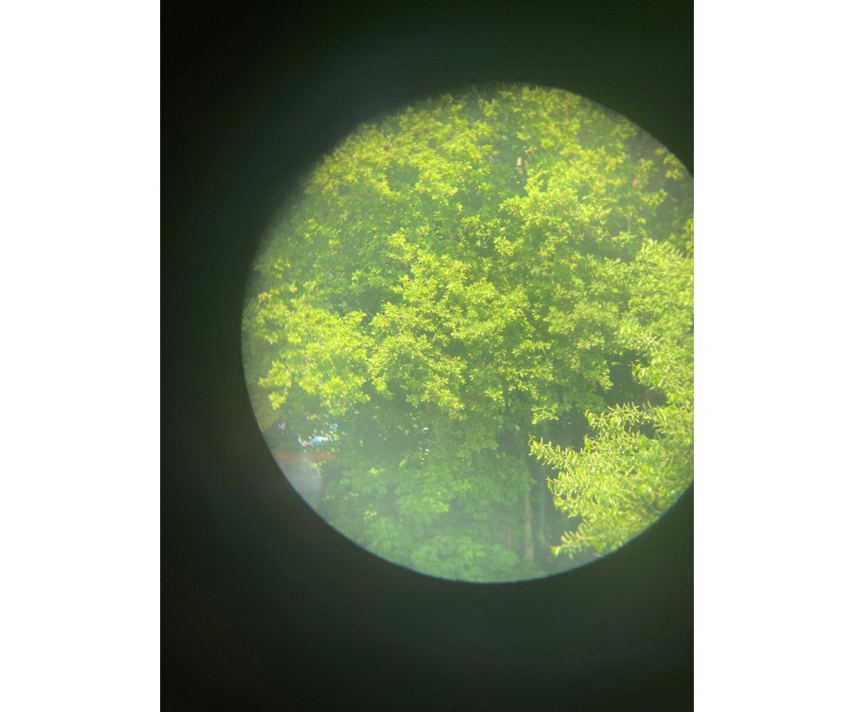Wehrmacht 6x30 Dienstglas with Strap (WaA) — image 10