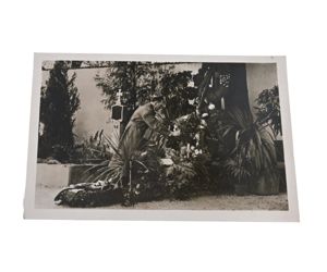 A.Hitler visits his father's grave Postcard