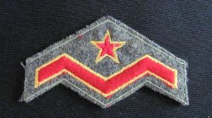 Irish Defence Forces Rank  Badge