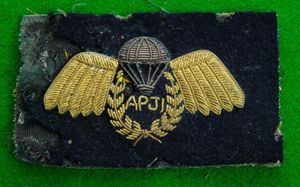 Assistant Parachute Jump Instructor.