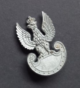 A attractive and sought after Polish plastic i.e bakelite cap badge
