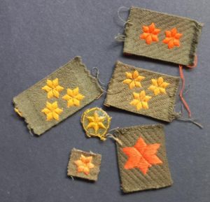 A superb small collection of - British & Dutch made - Dutch Free Forces rank insignia