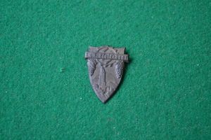 Rally Badge.
