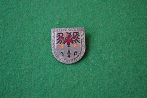 Rally Badge.