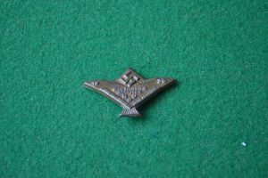 Rally Badge.