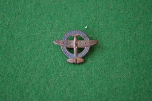 Rally Badge.