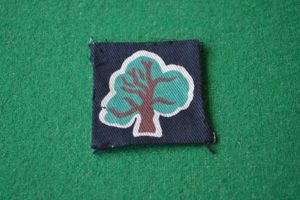 46th Division.