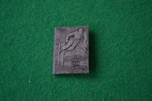 Rally Badge.
