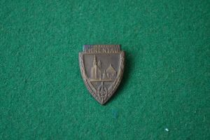 Rally Badge.