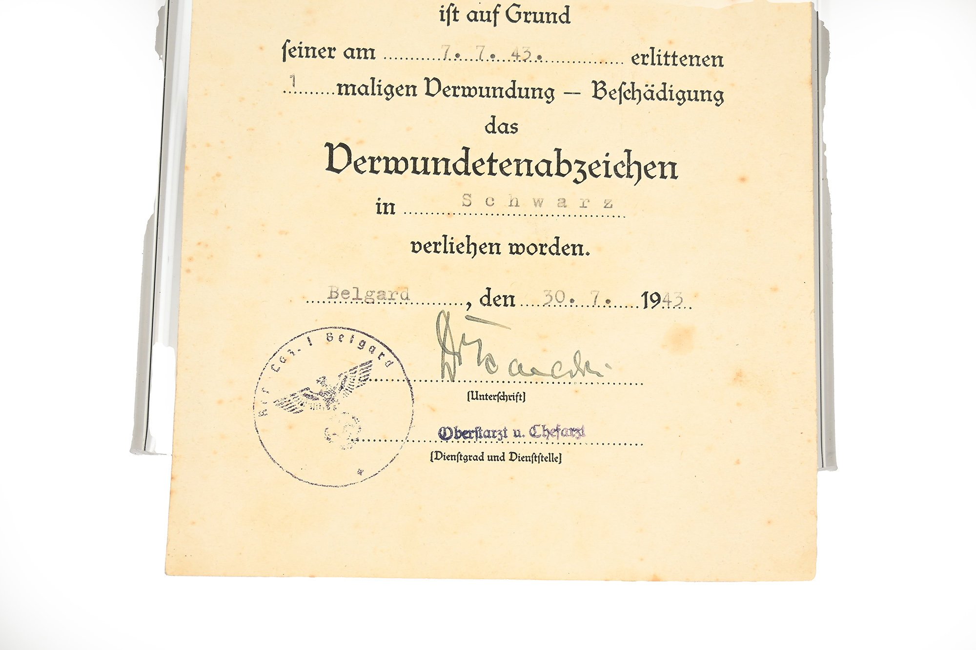 certificate of abuse abzeichen black