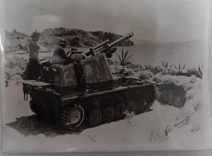 'Propaganda' - Pressphoto - 10.5cm SPG 'Wespe'