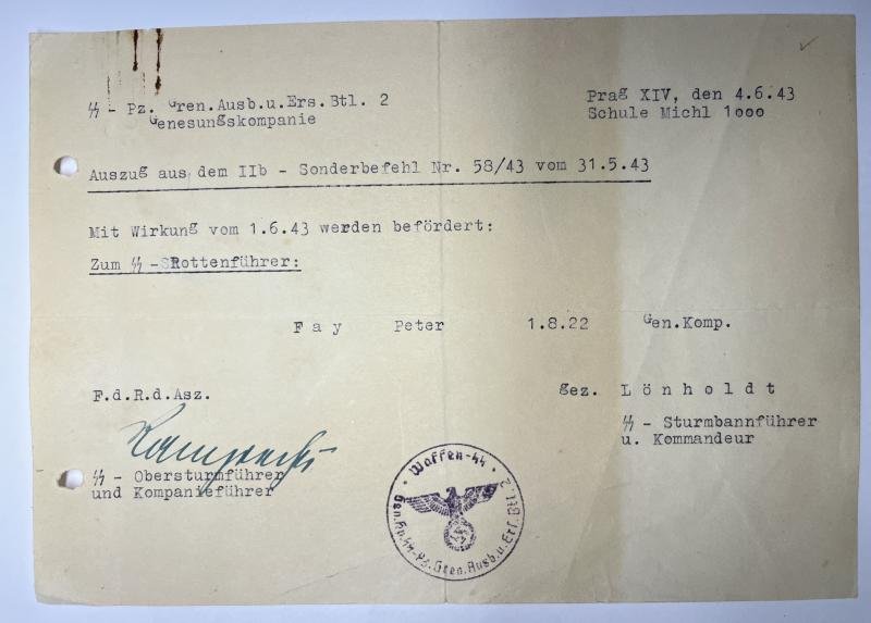 'Waffen-SS' - citation grouping - Fay