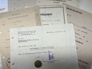 'Waffen-SS' - citation grouping - Fay