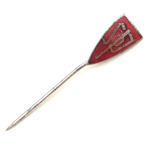 SDP members pin