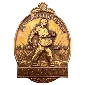Original WWII Dutch NSB Hagespraak 1936 pin