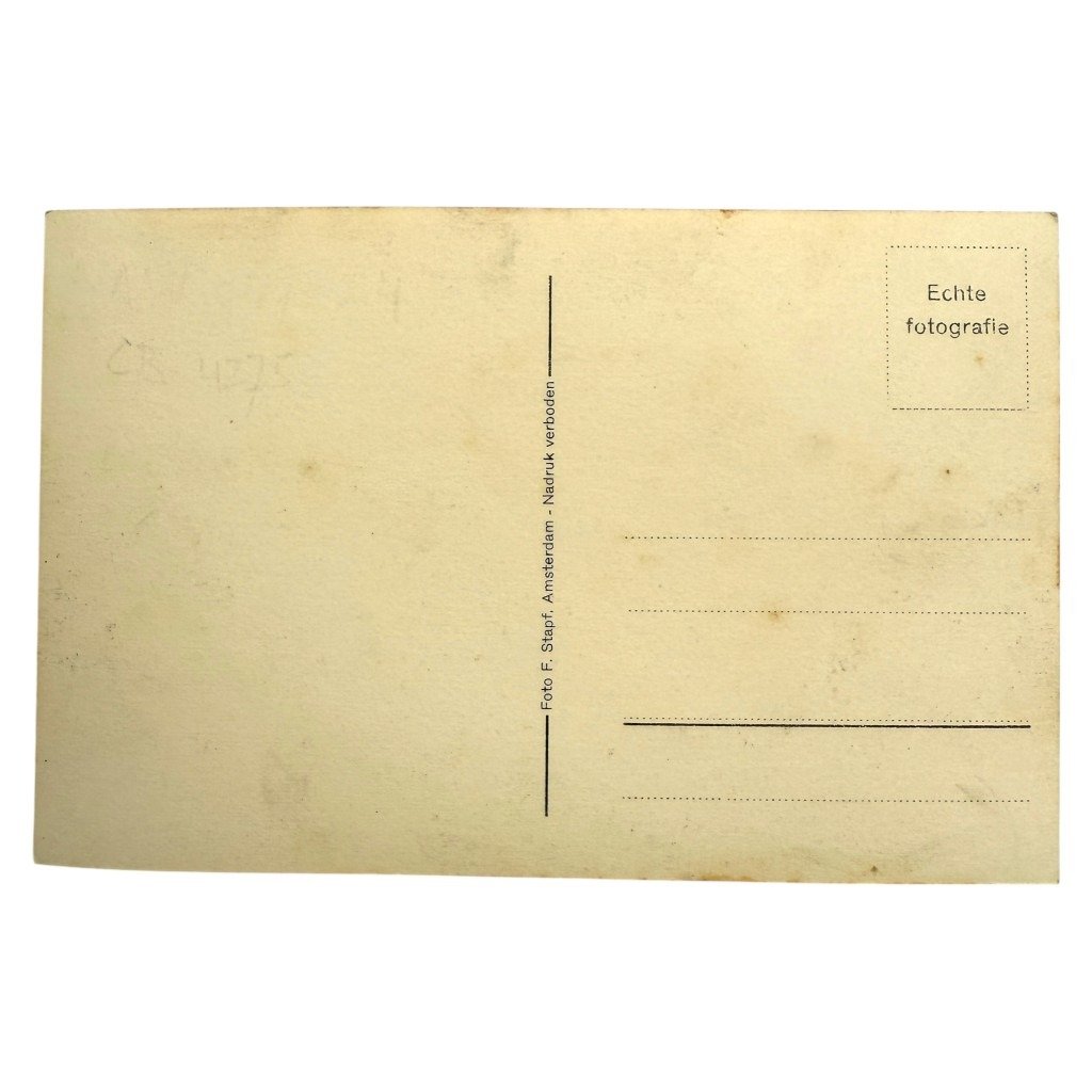 Original WWII Dutch NSB postcard Rost van Tonningen