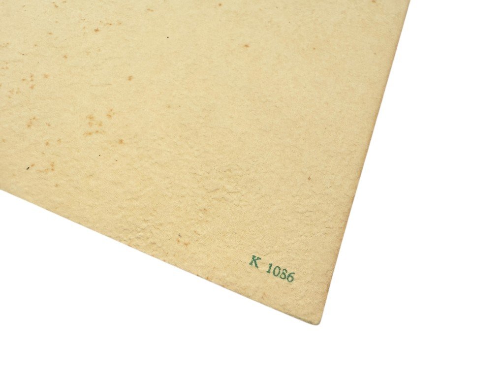 Original WWII Dutch NAD booklet Von Arbeitsmännern und Maiden – Mannen en Meisjes van den Arbeidsdienst