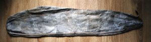 50 calibre Canvas Cover