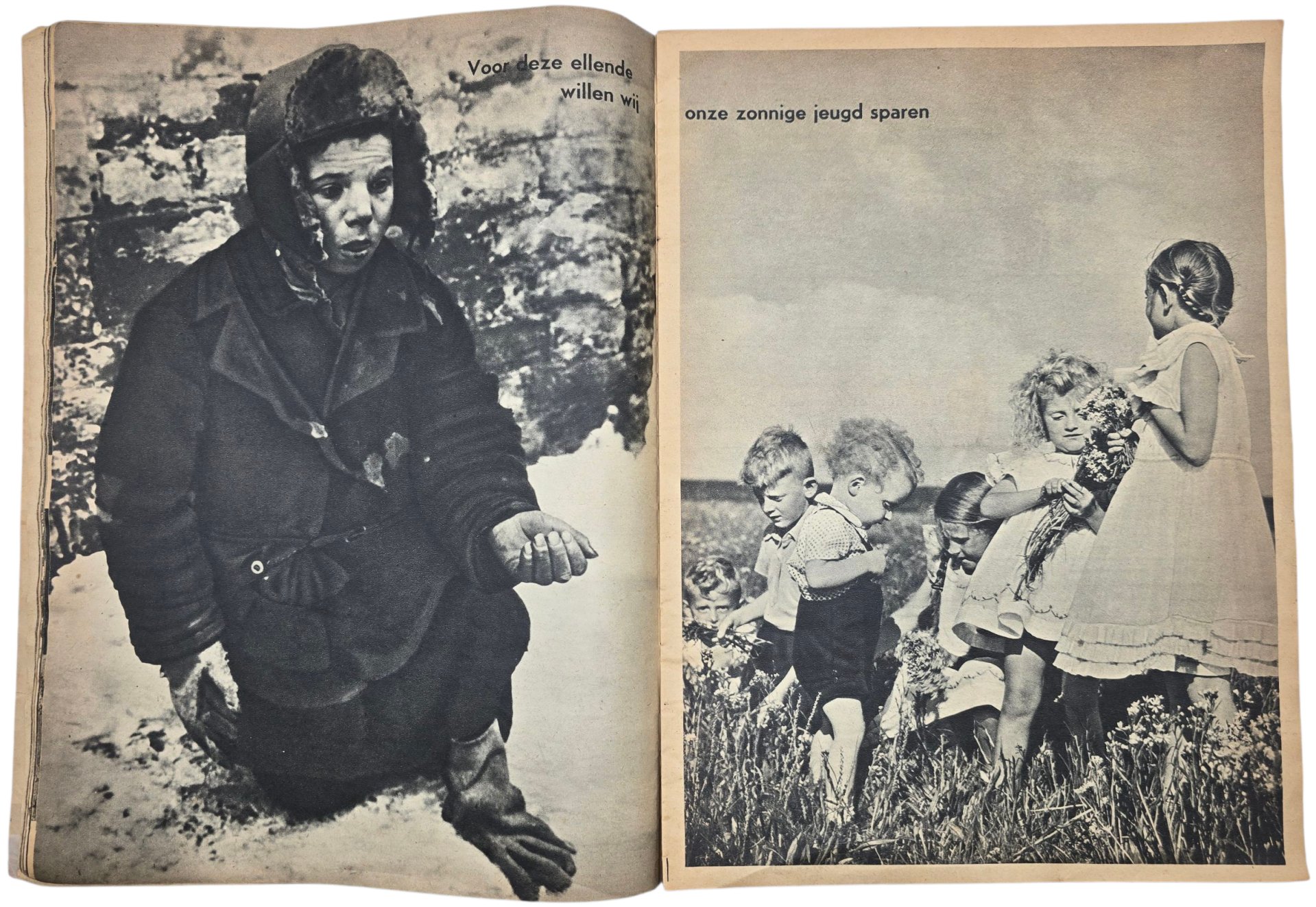 Original WW2 Dutch Anti-semitic Brochure - De Beestmensch (1942) — image 6