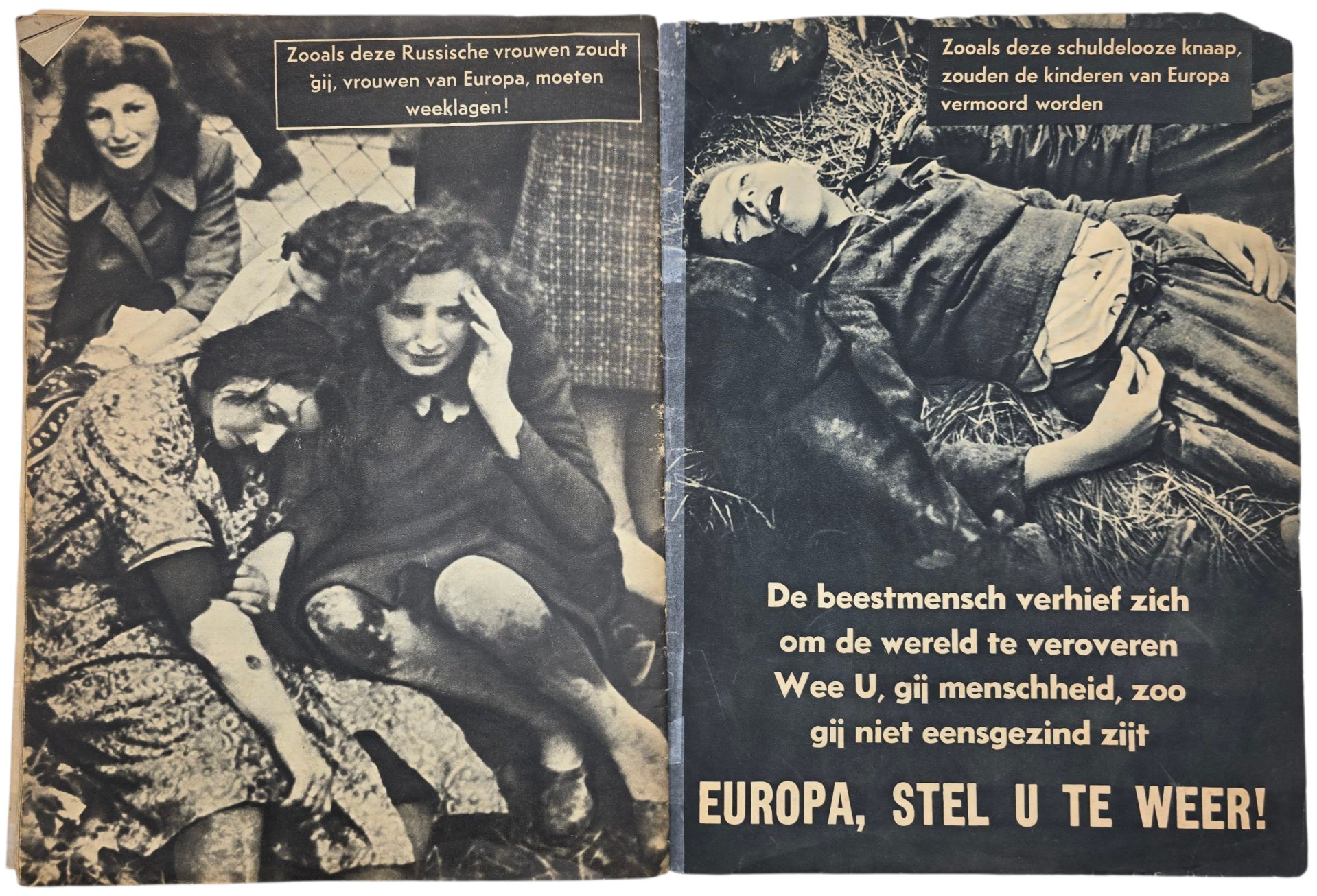 Original WW2 Dutch Anti-semitic Brochure - De Beestmensch (1942) — image 9