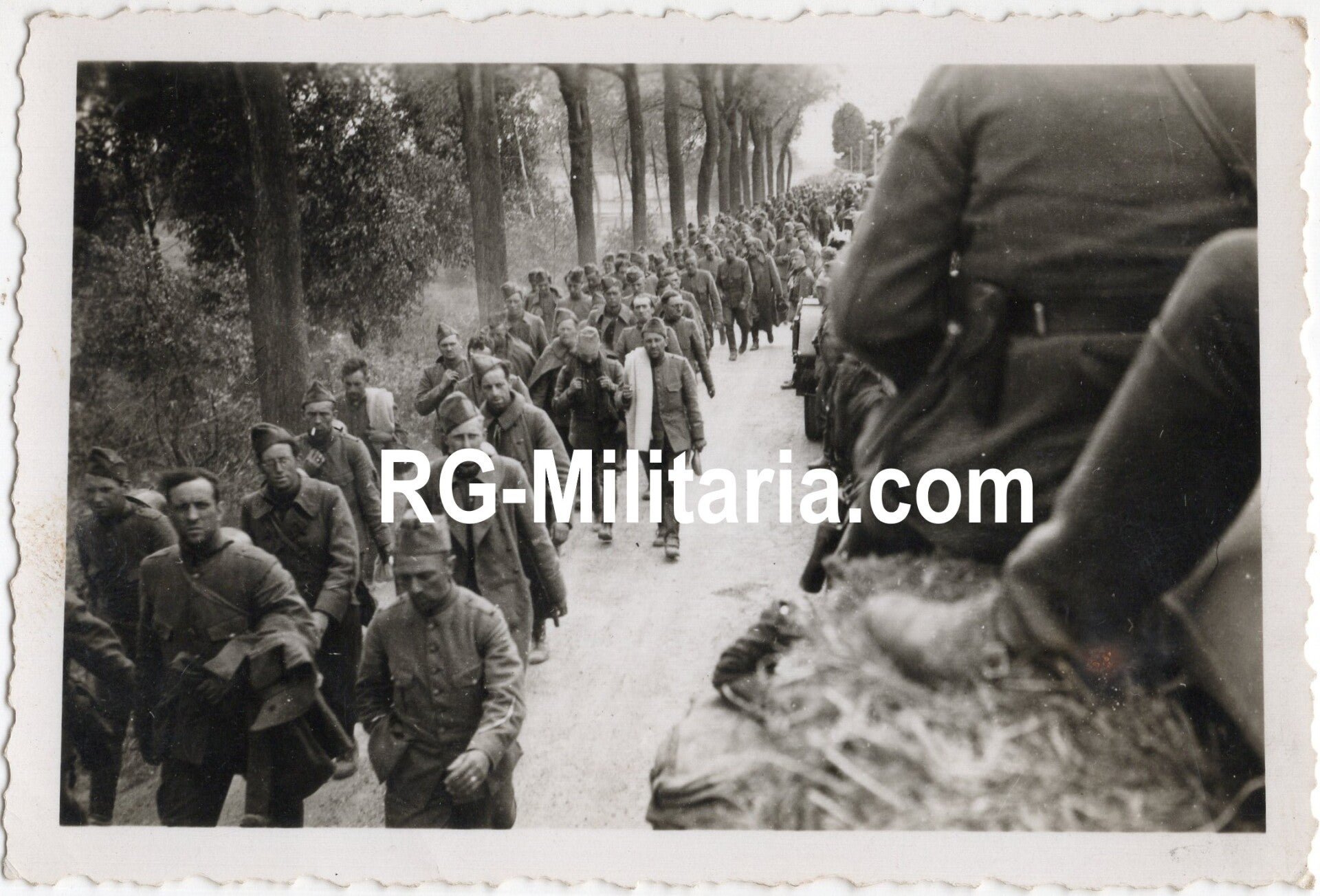 Original WW2 German Photo - Dutch POW soldiers, Holland, May (1940) — image 3