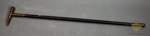 Walking Stick