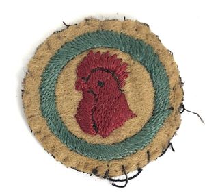 Boy Scouts Poultry Farm proficiency khaki felt cloth badge c.1909 issue