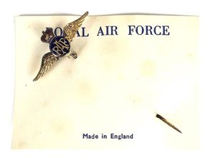 EIIR Royal Air Force pilot's wing enamel RAF cravat pin badge on retailers card