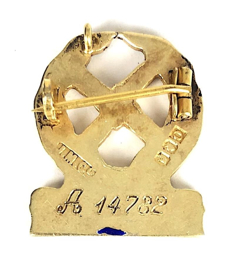 Nursing and Midwifery Board of Ireland NMBI 1956 silver badge