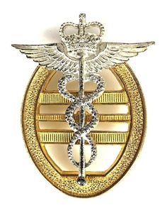 Princess Marys Royal Air Force Nursing Service PMRAFNS Wing Officer Badge