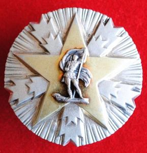 Yugoslavia Order of National Merit (Orden Zasluge za Narod), III class