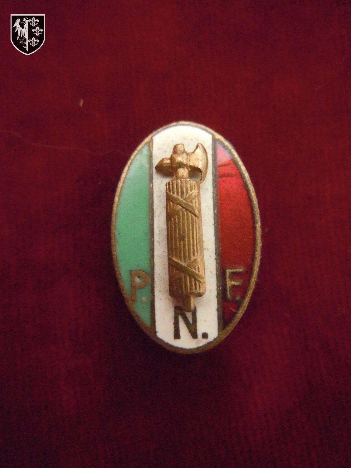 Insigne PNF