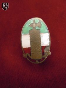 Insigne PNF