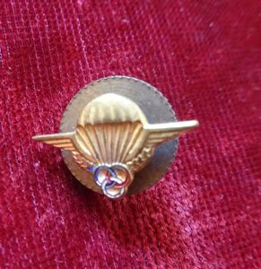 Lot 2 insignes parachutistes